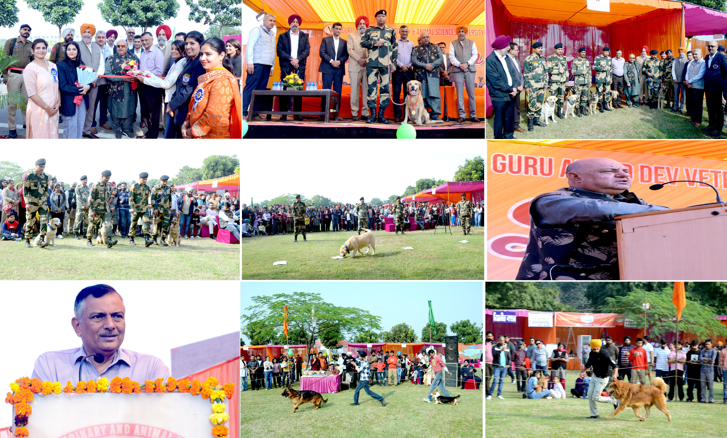 Vet Varsity organizes an Impressive Dog Show